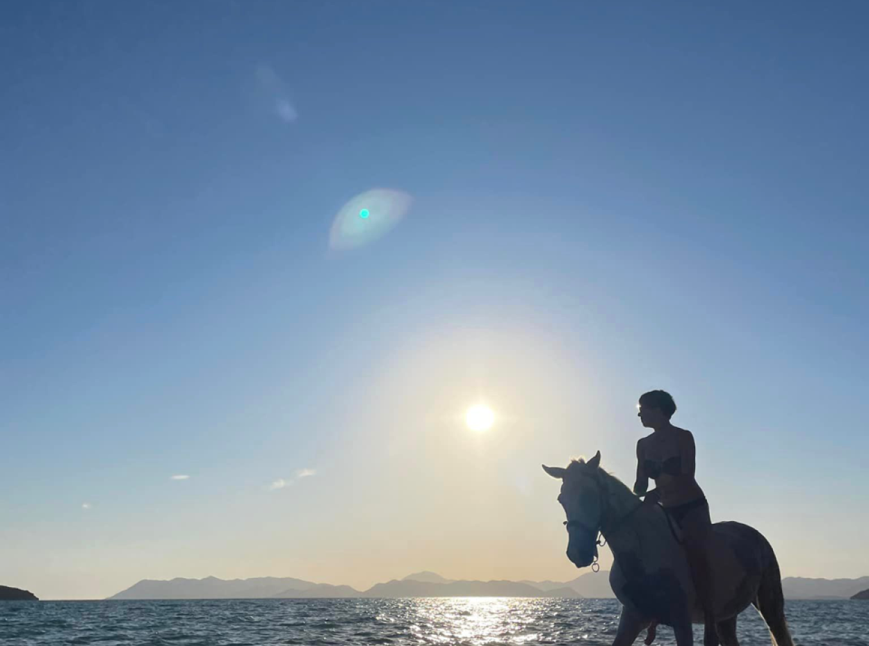 Galoppierende Seepferdchen