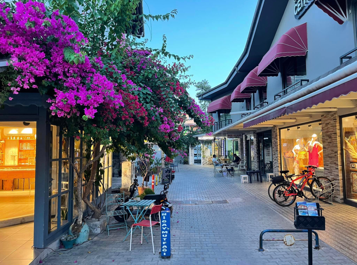 Galoppierende Seepferdchen