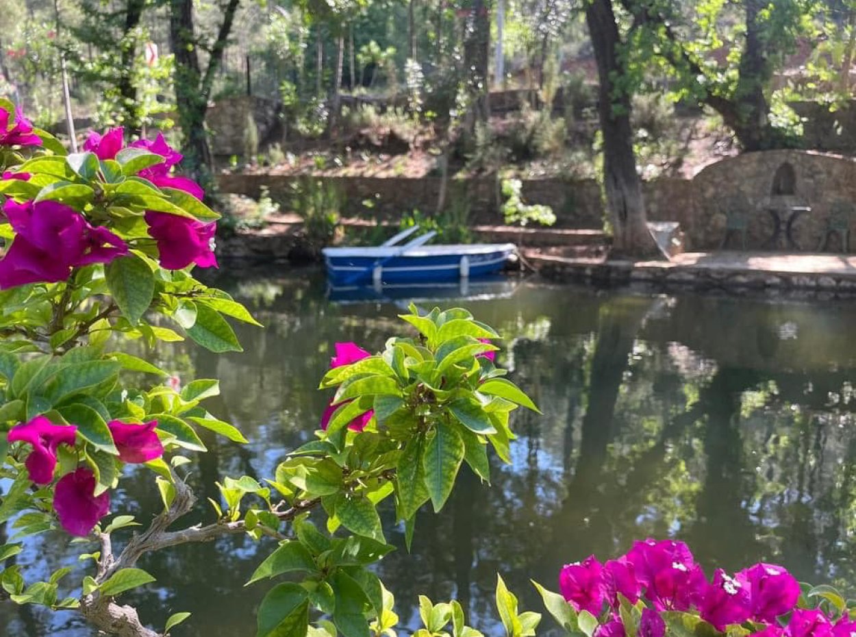 Kulturen Im Einklang