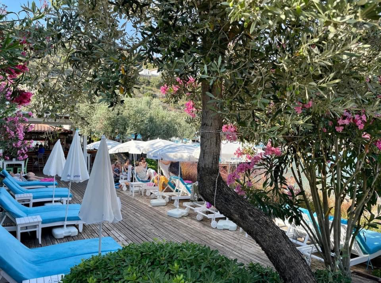 Kulturen Im Einklang