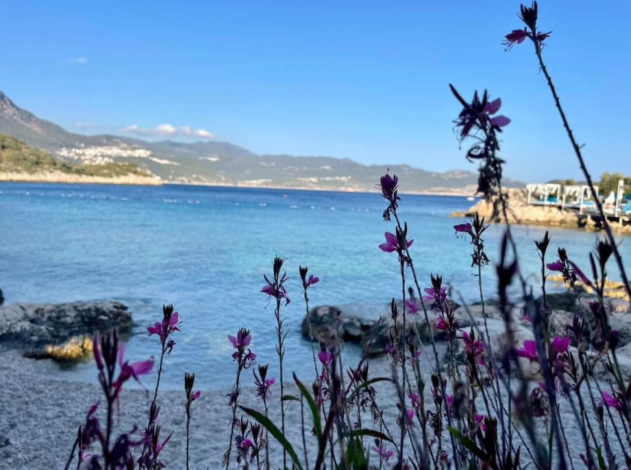 Kulturen Im Einklang