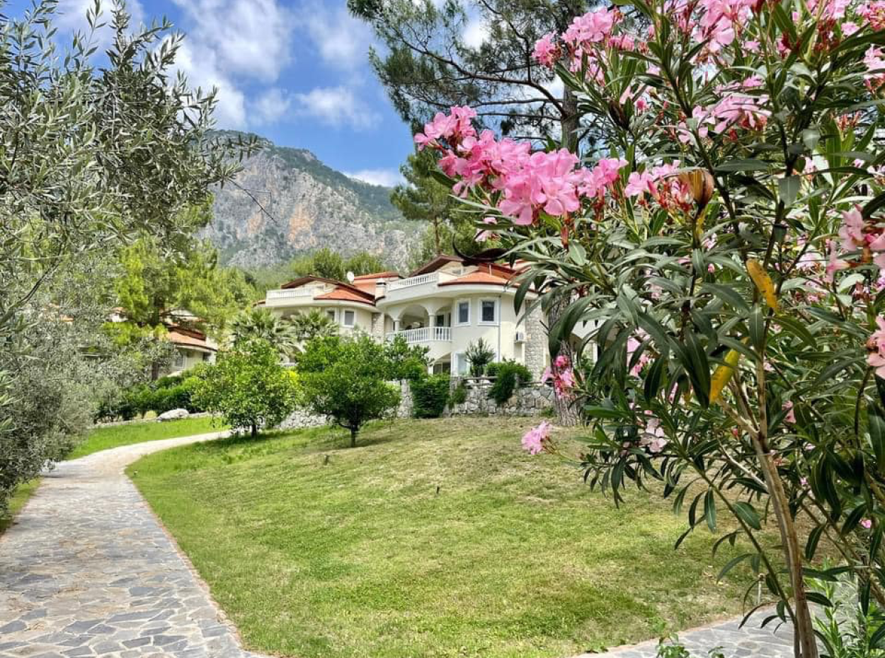 Akkaya Sonnenuntergang Mit Vögeln Und Wildtieren