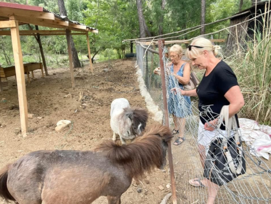 Akkaya Sonnenuntergang Mit Vögeln Und Wildtieren