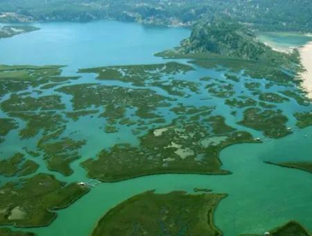 Dalyan Fotos