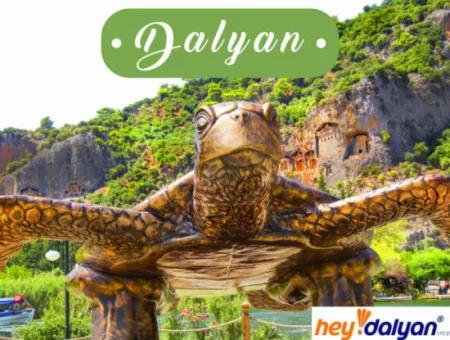 Über Hey Dalyan