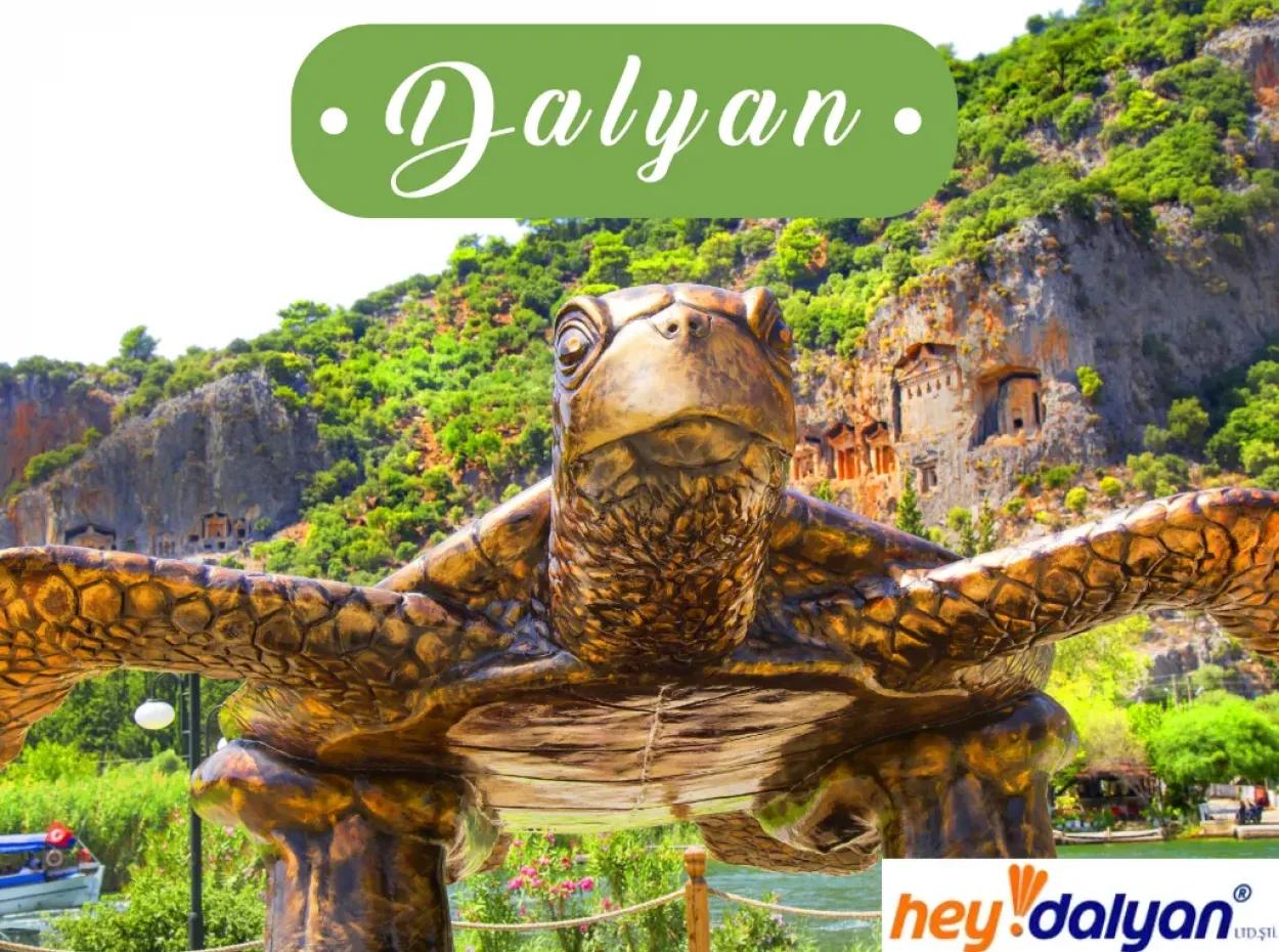 About Hey Dalyan