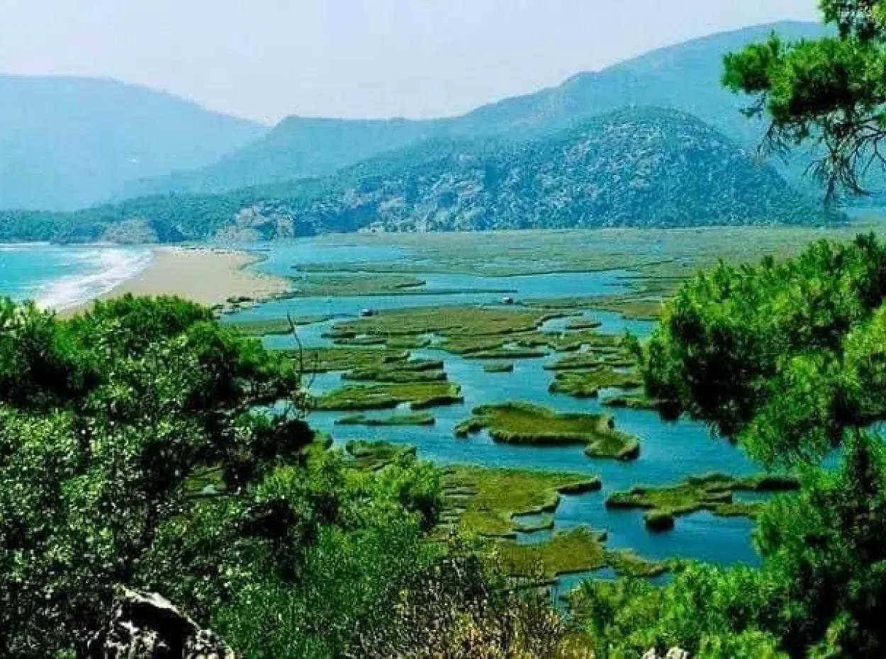 Dalyan Boat Tour