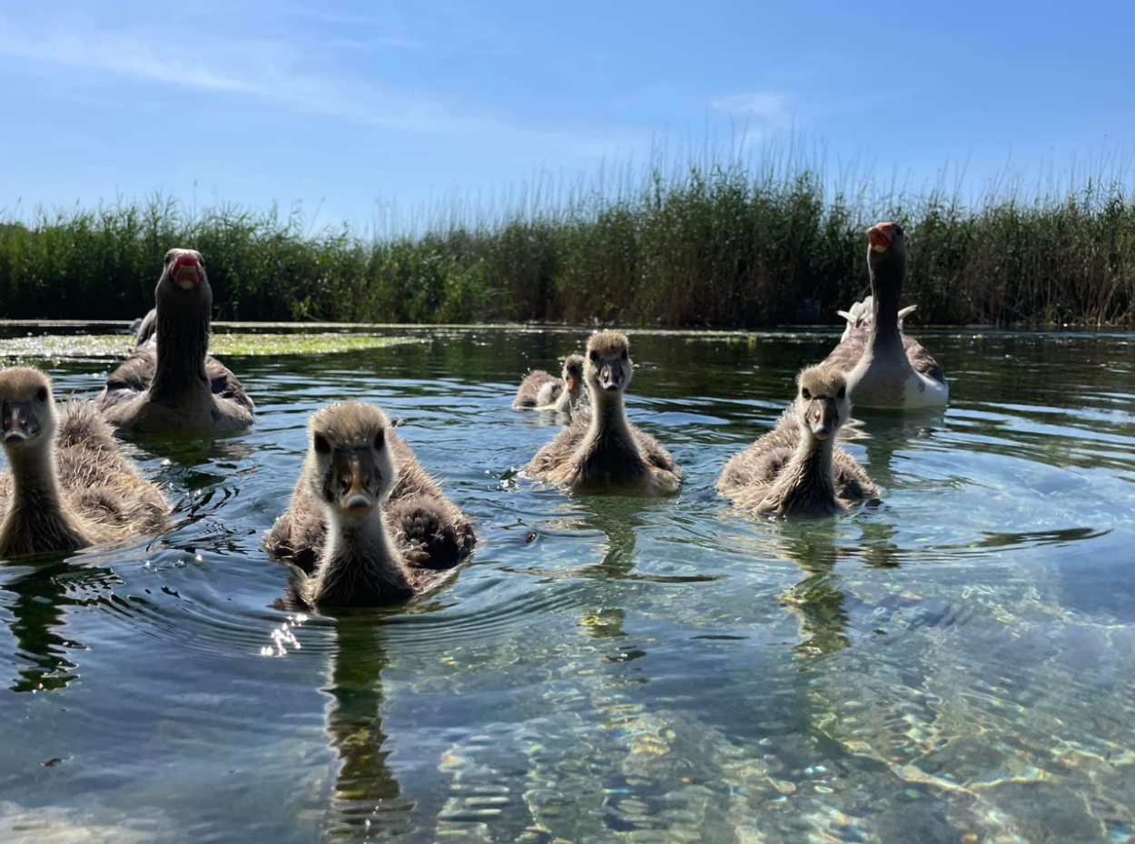 Hidden Gems Of Marmaris