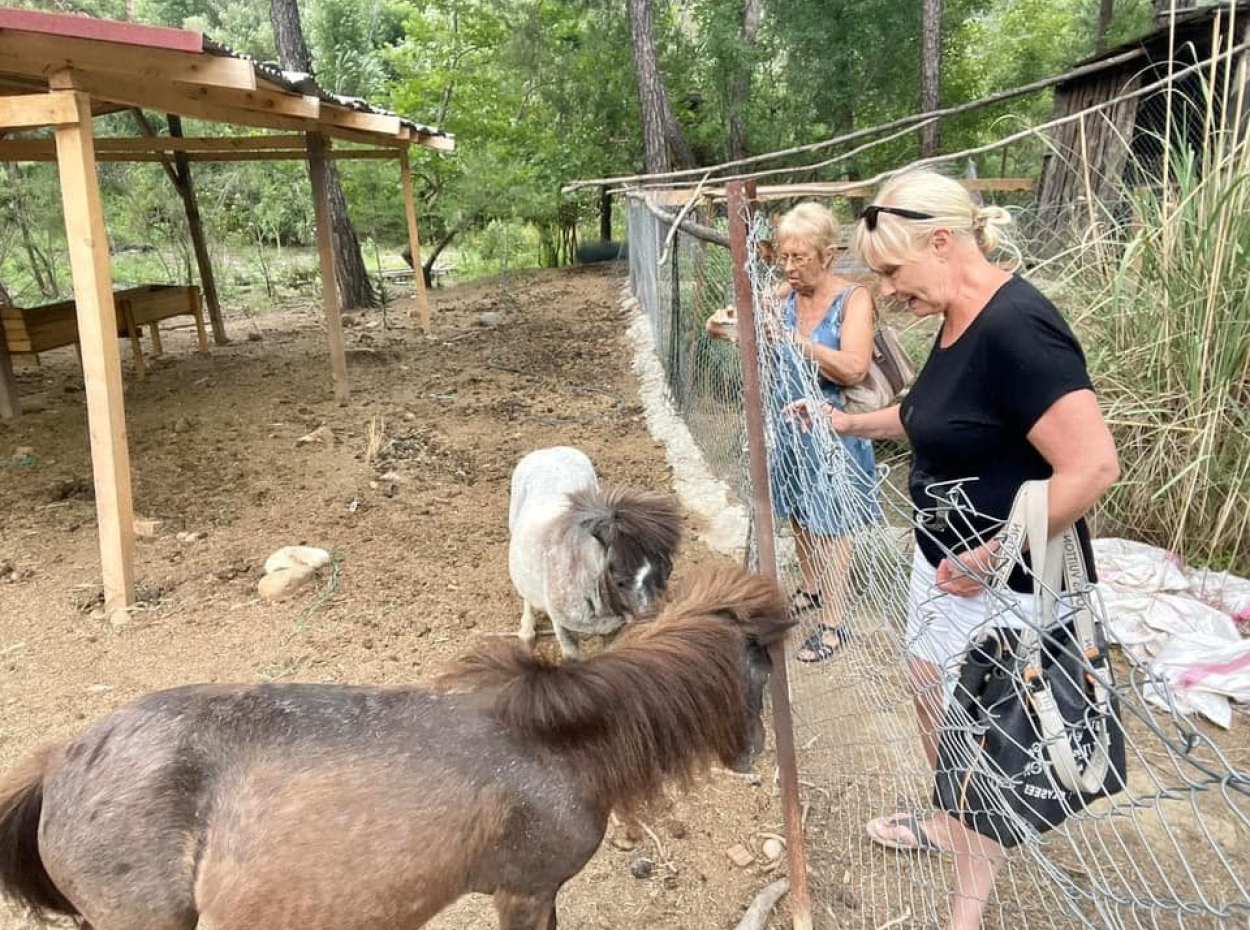 Akkaya Sunset With Birds And Wildlife