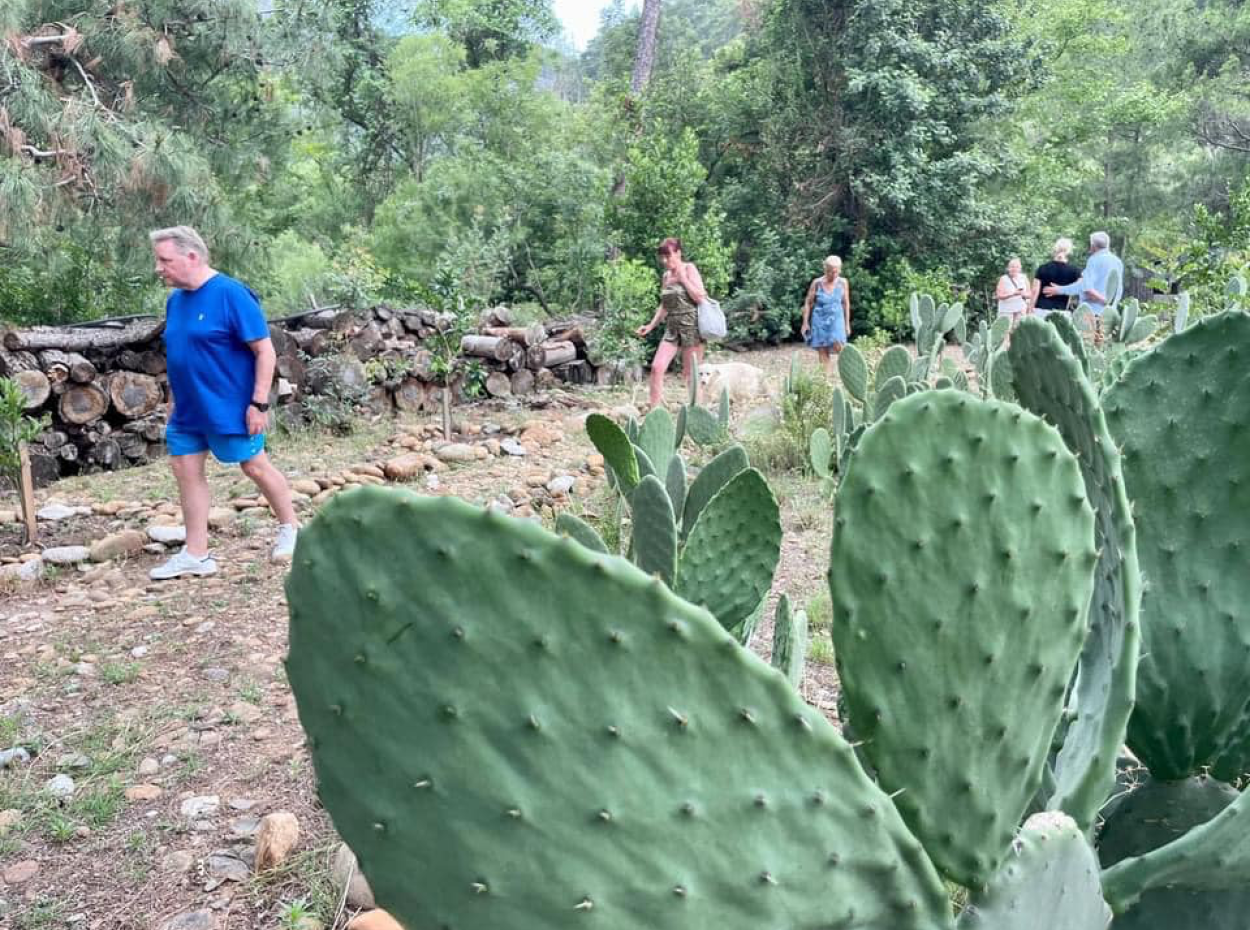 Akkaya Sunset With Birds And Wildlife