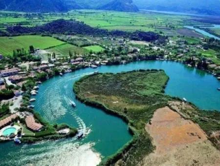 Dalyan Boat Tour