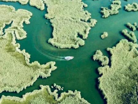 Dalyan Boat Tour