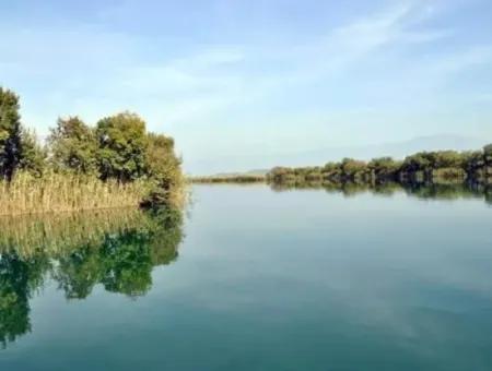 Dalyan Boat Tour