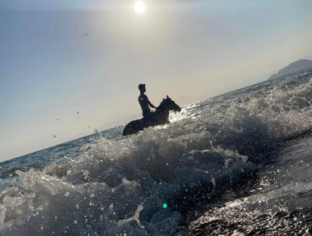 Galloping Seahorses