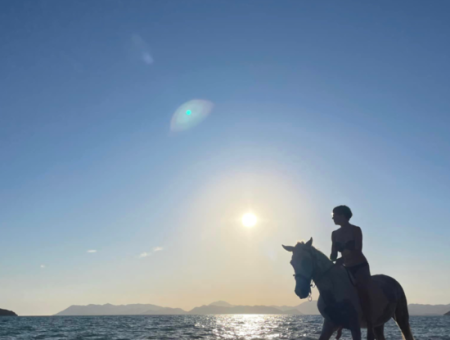 Galloping Seahorses