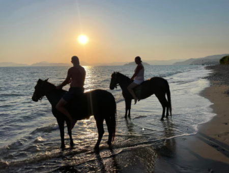 Galloping Seahorses