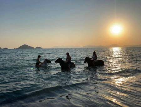 Galloping Seahorses