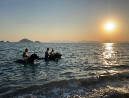 Galloping Seahorses