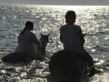 Galloping Seahorses