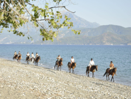 Galloping Seahorses