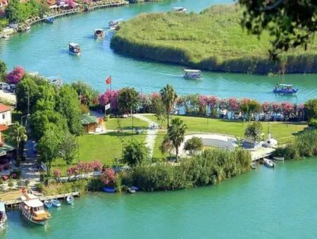 Dalyan Boat Tour