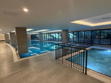 The Ultimate Rejuvenation Escape