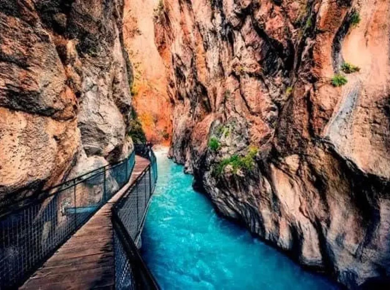 Rüya Tasarımcısı