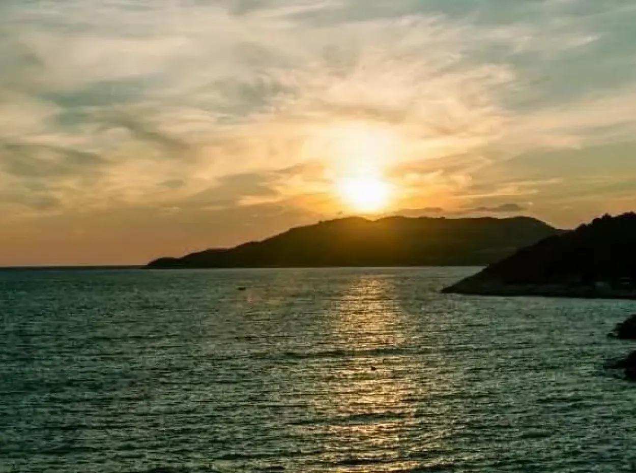 Mutlu Parti Geceleri