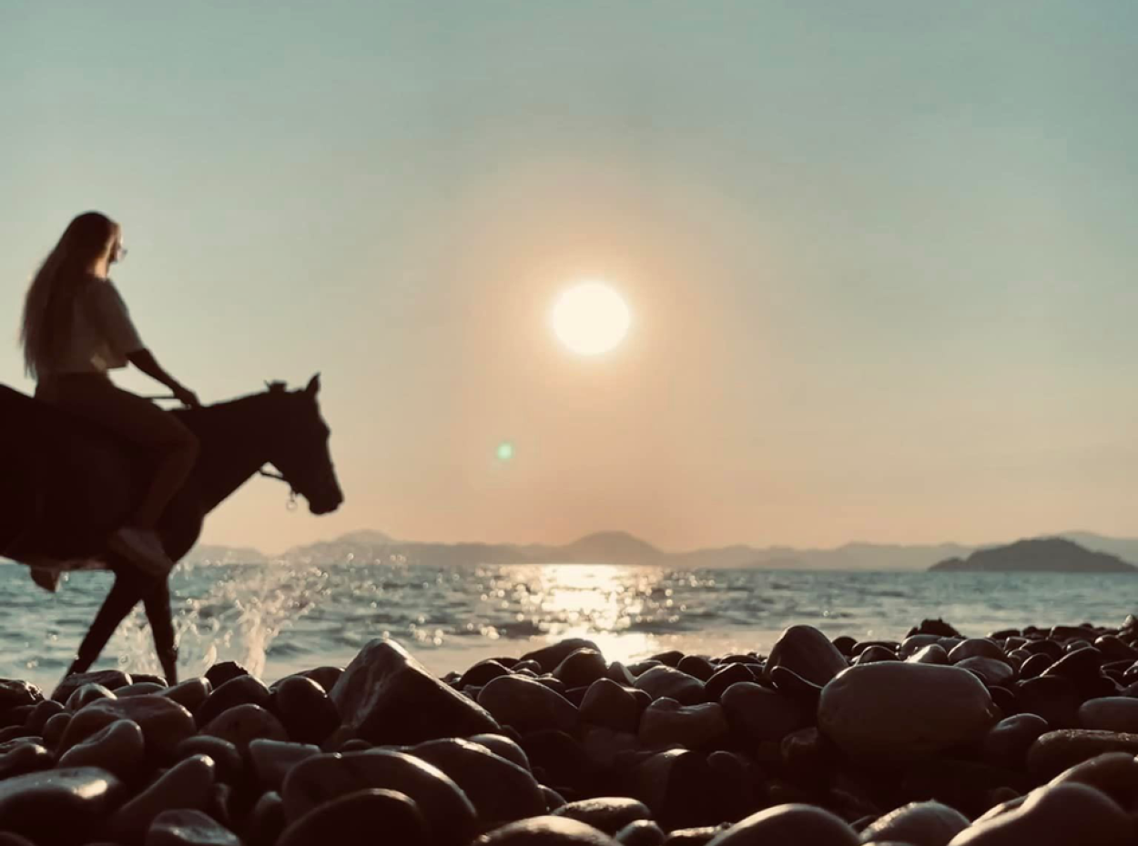 Dörtnala Giden Deniz Atları