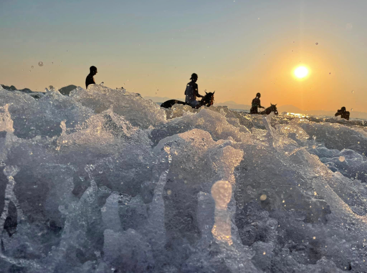Dörtnala Giden Deniz Atları