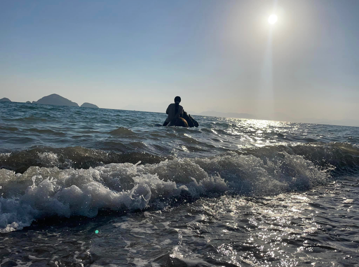Dörtnala Giden Deniz Atları