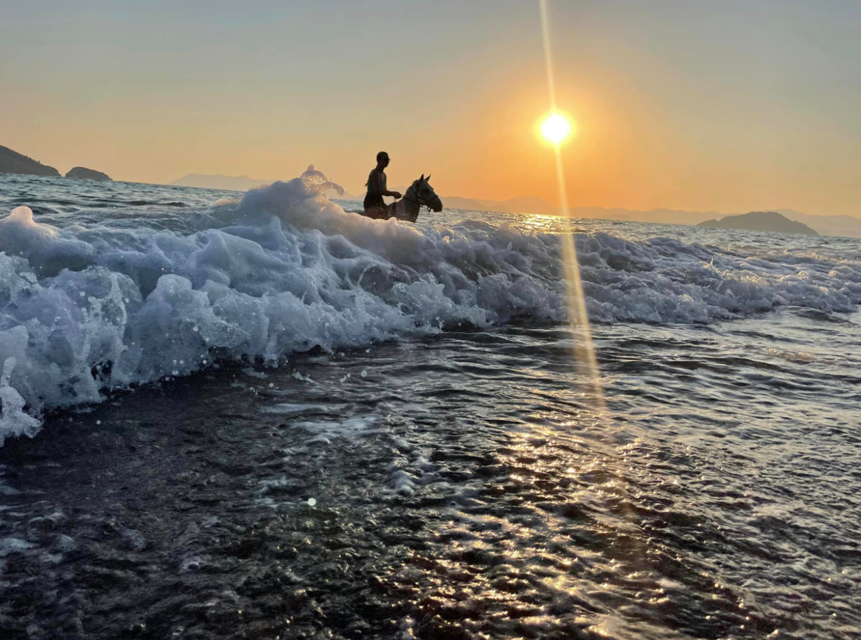 Dörtnala Giden Deniz Atları