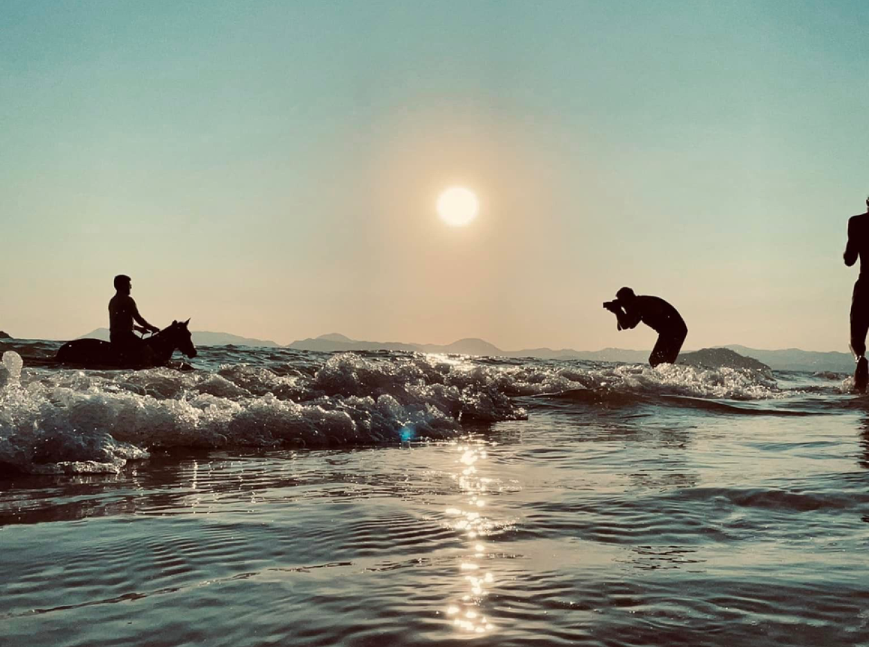 Dörtnala Giden Deniz Atları