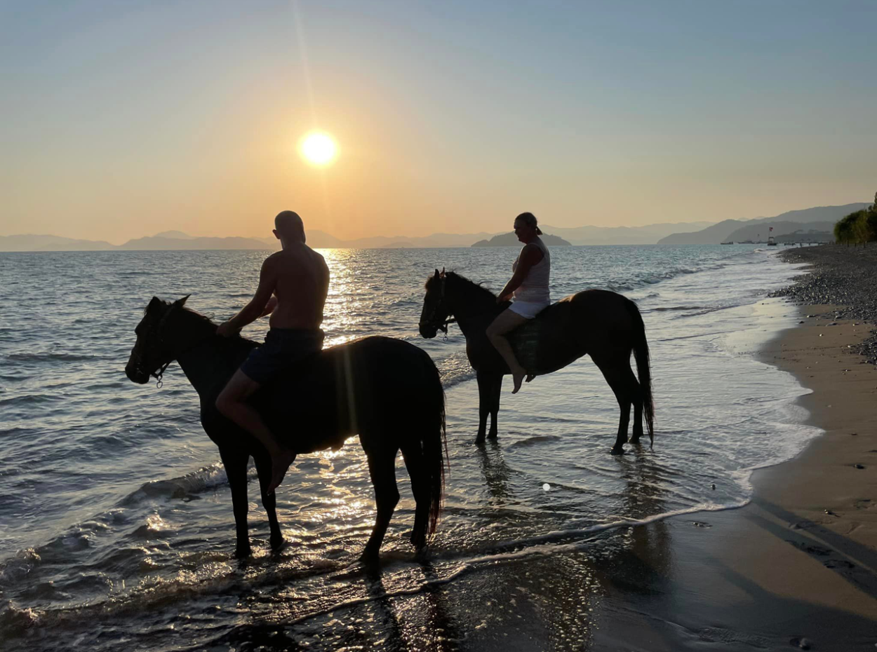 Dörtnala Giden Deniz Atları