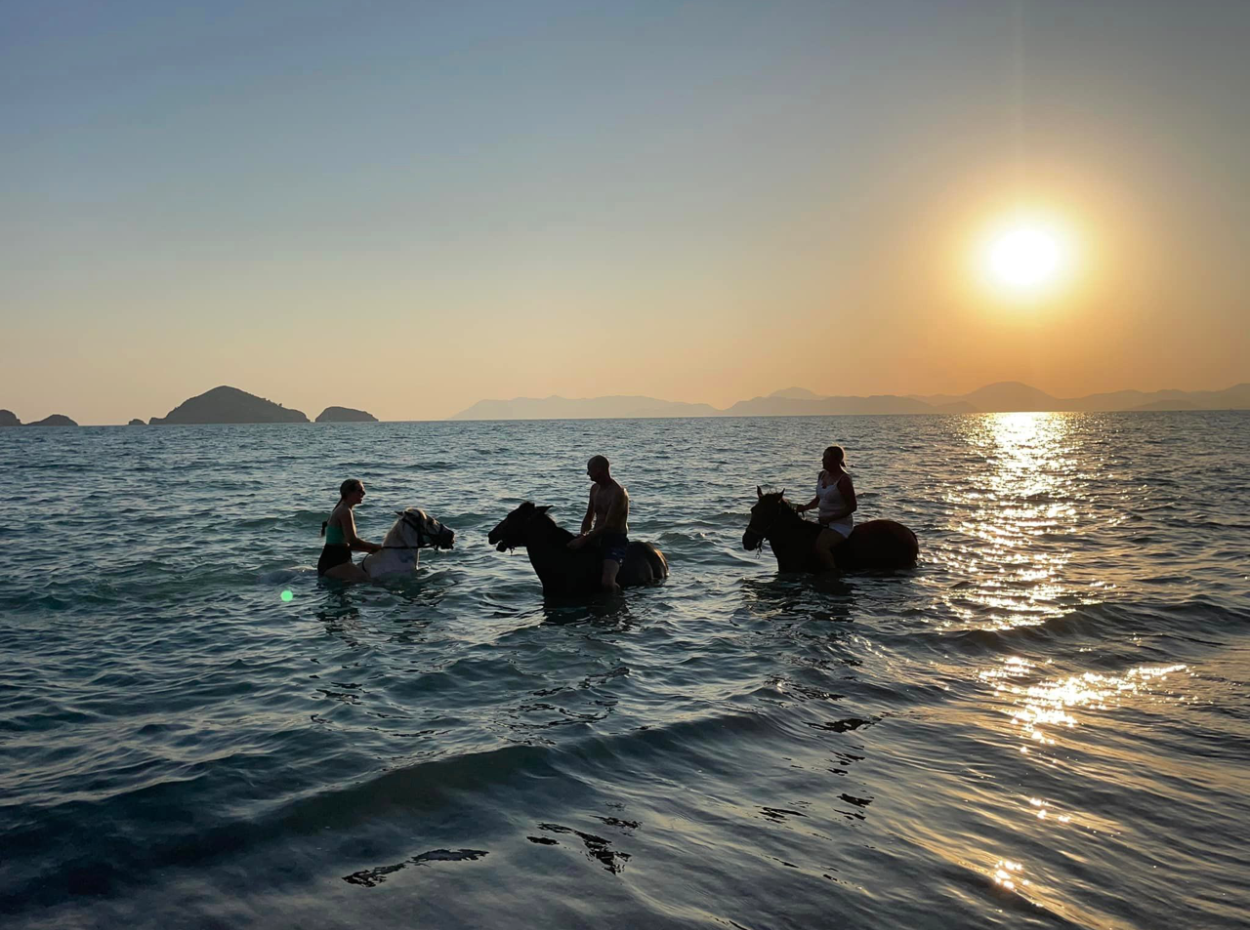 Dörtnala Giden Deniz Atları