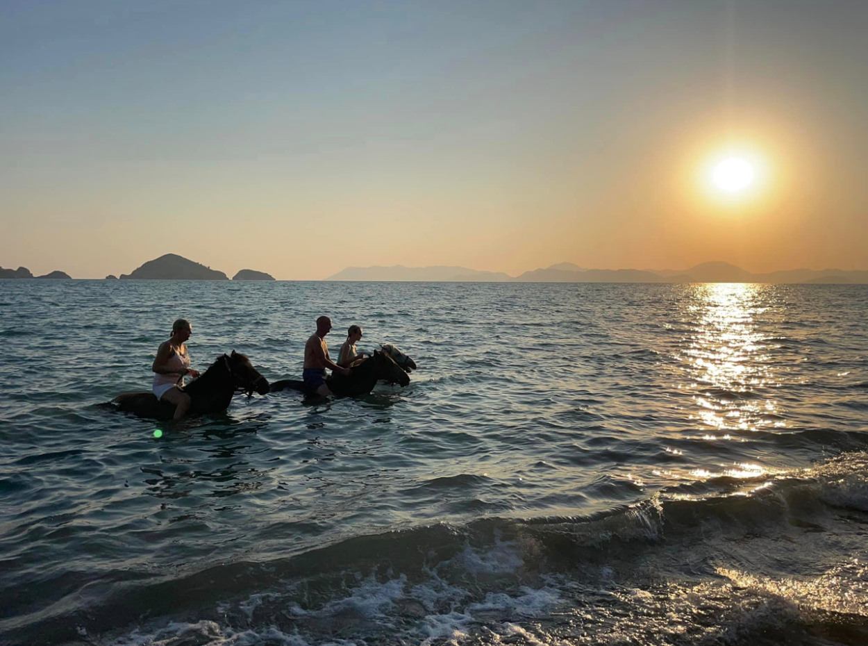 Dörtnala Giden Deniz Atları