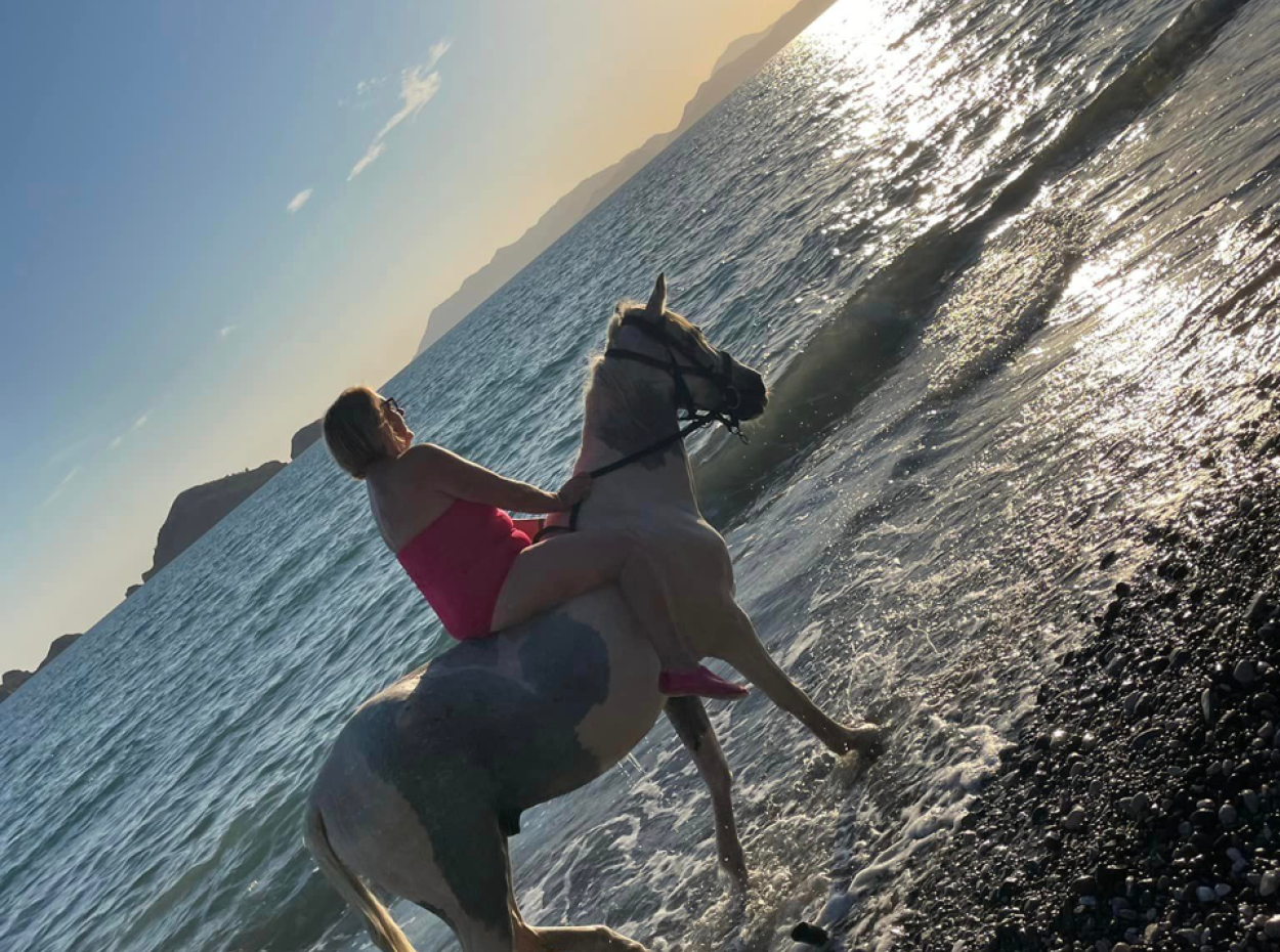 Dörtnala Giden Deniz Atları