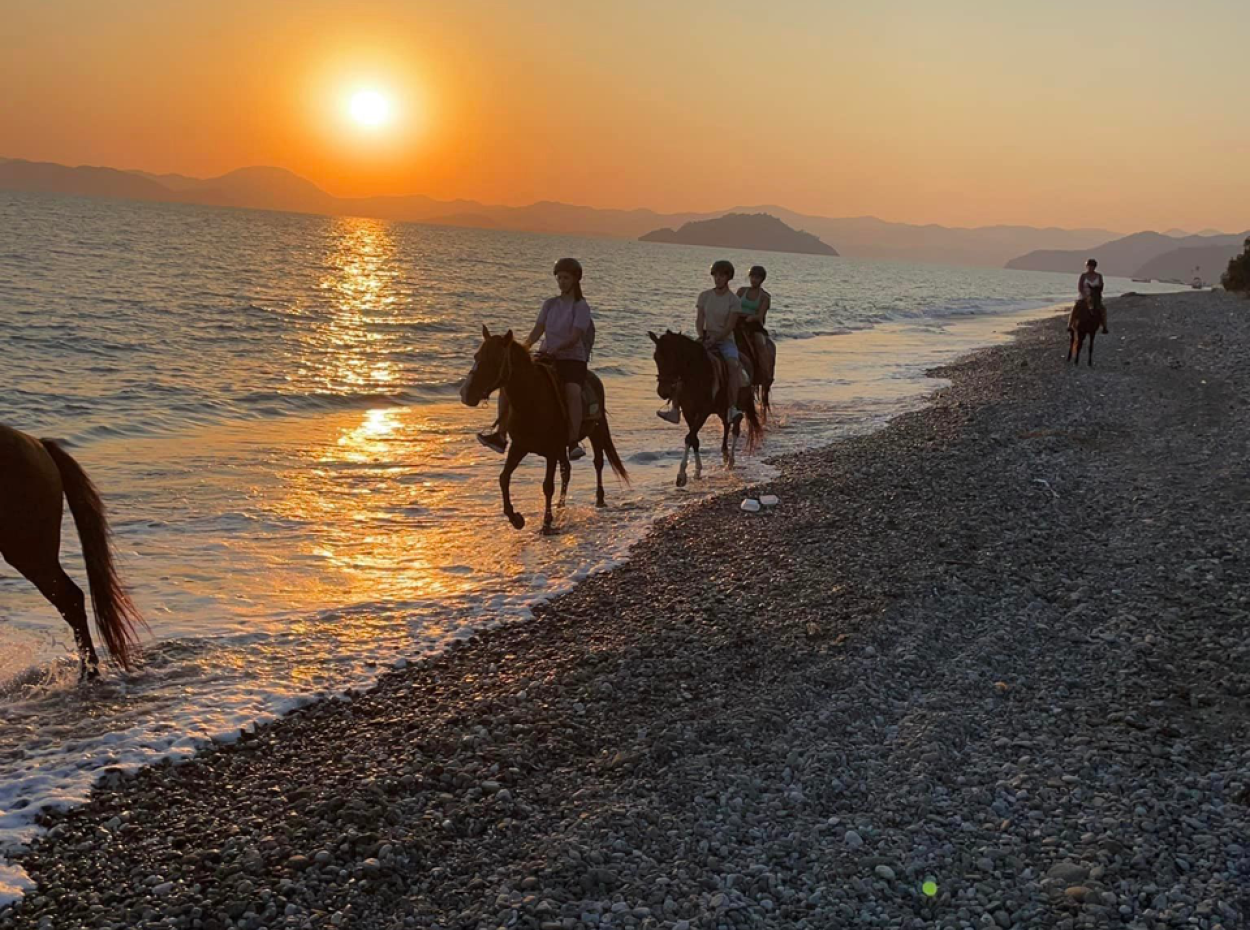Dörtnala Giden Deniz Atları