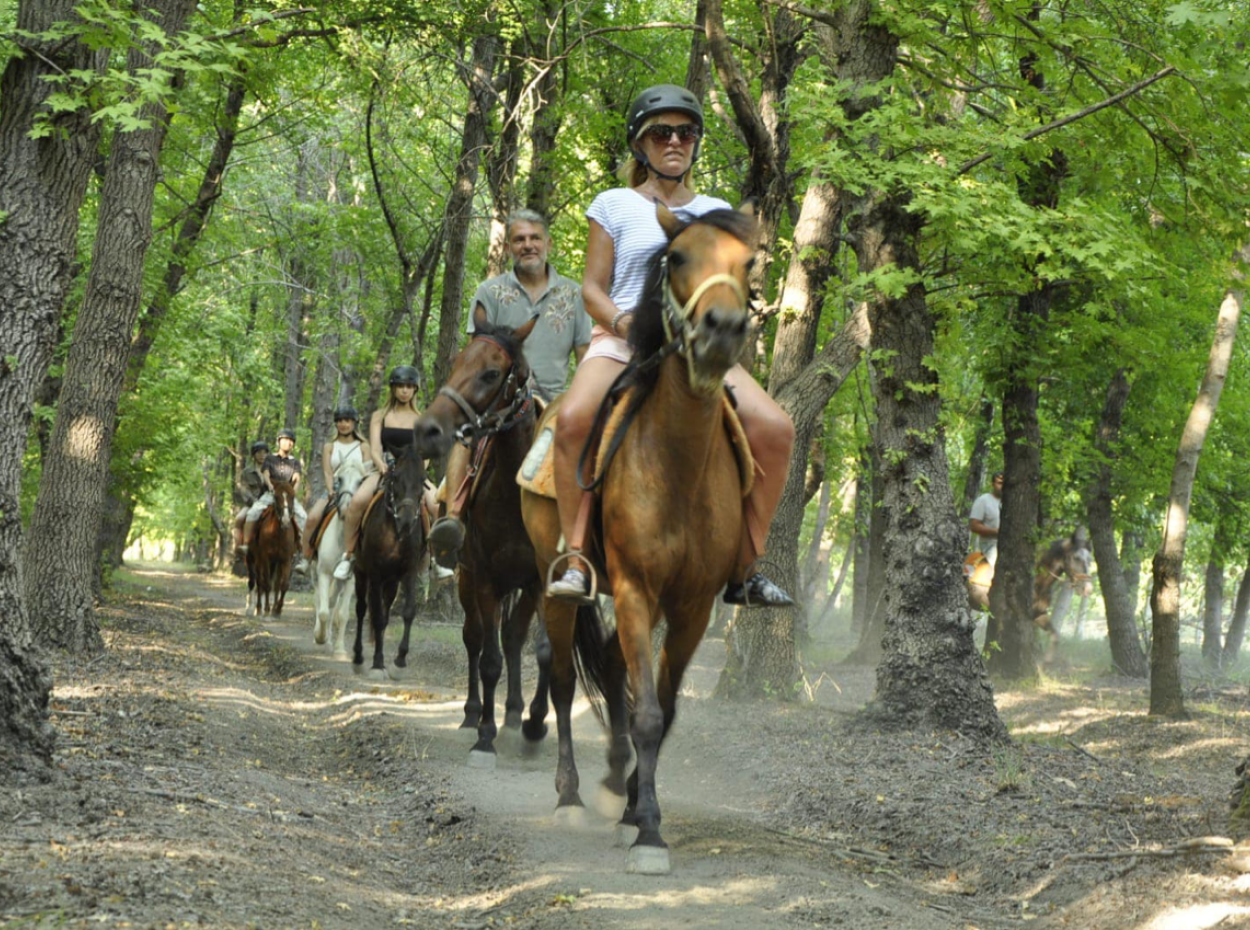 Dörtnala Giden Deniz Atları