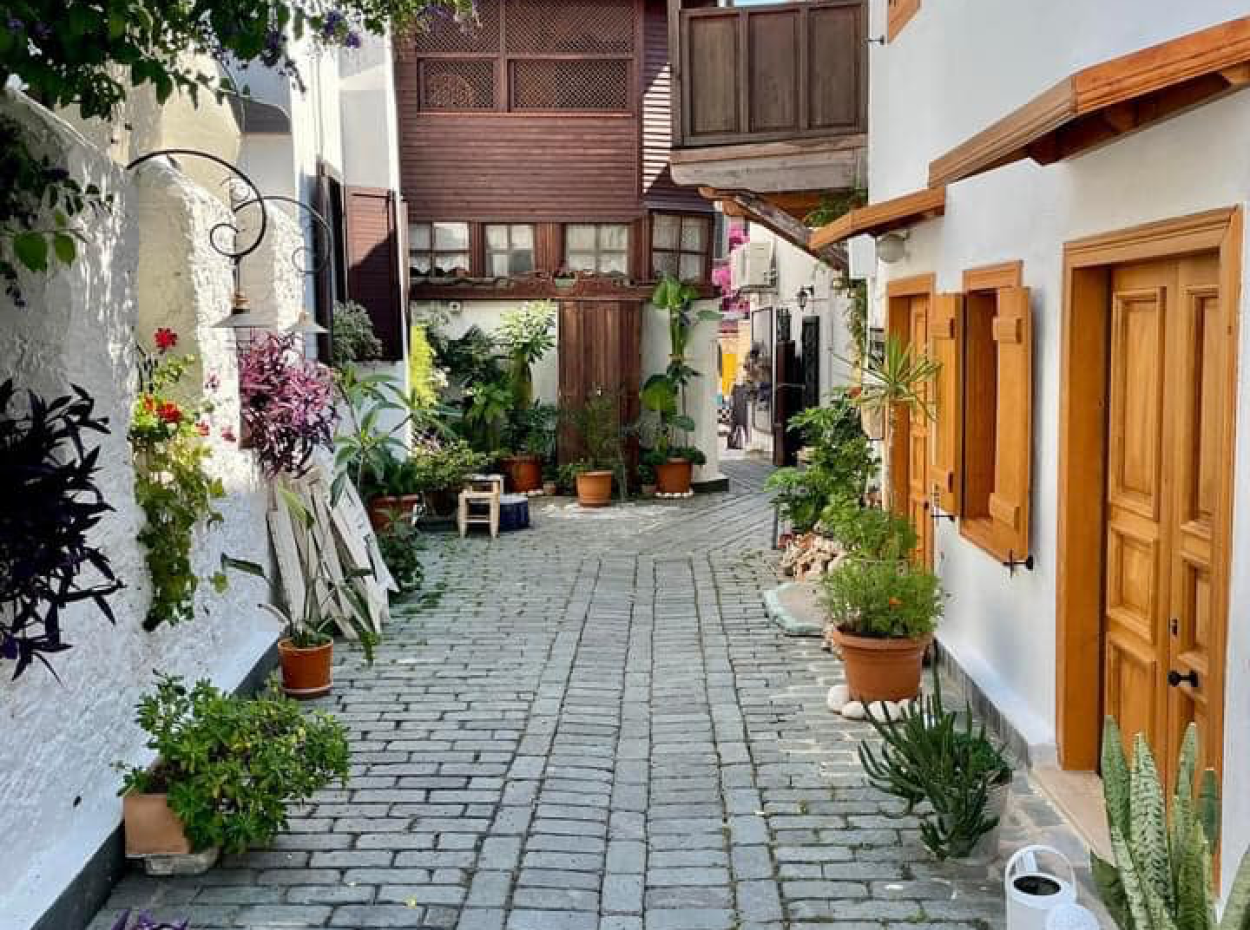 Uyum İçinde Kültürler