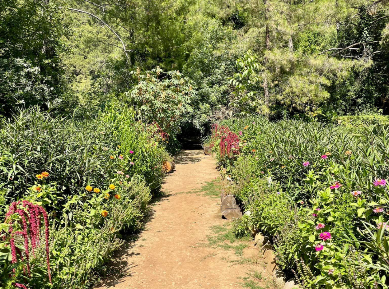 Akkaya Kuşlar Ve Vahşi Yaşam İle Gün Batımı
