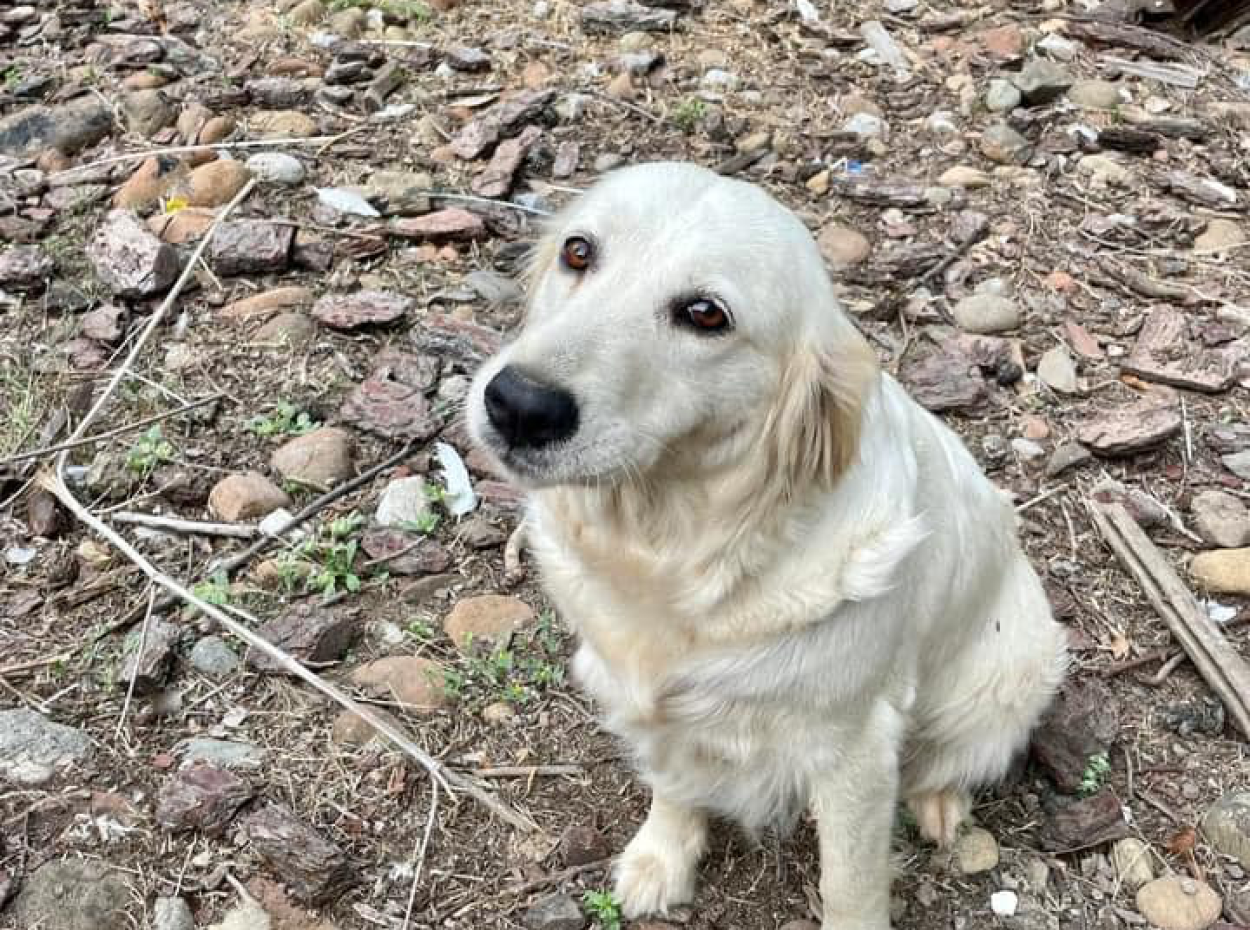 Akkaya Kuşlar Ve Vahşi Yaşam İle Gün Batımı