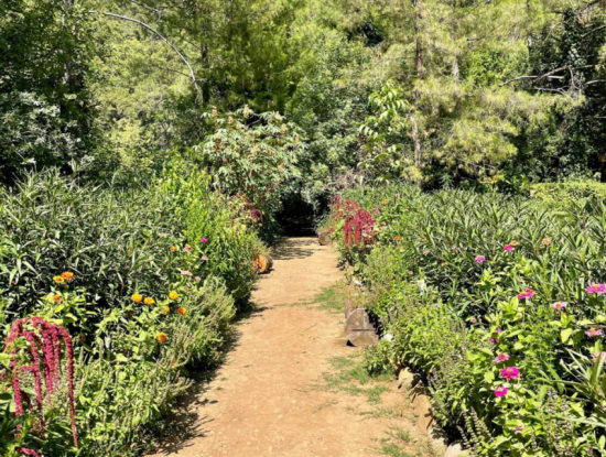 Akkaya Kuşlar Ve Vahşi Yaşam İle Gün Batımı