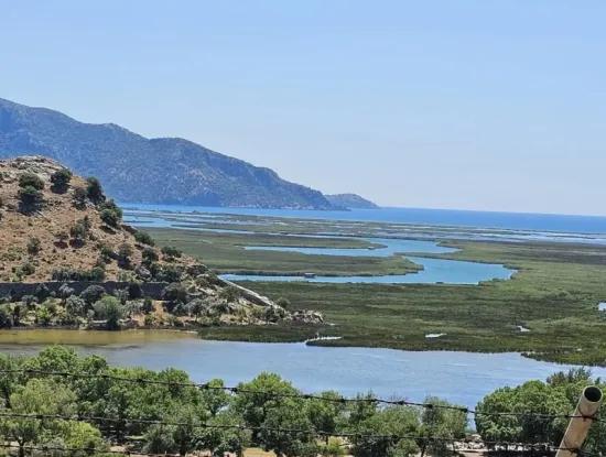 Cennetin Diğer Tarafı