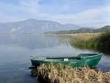 Geleneksel Dalyan Tekne Turu