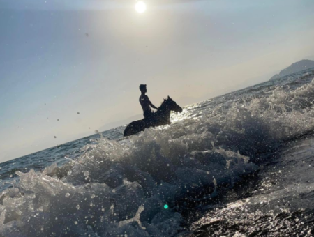 Dörtnala Giden Deniz Atları