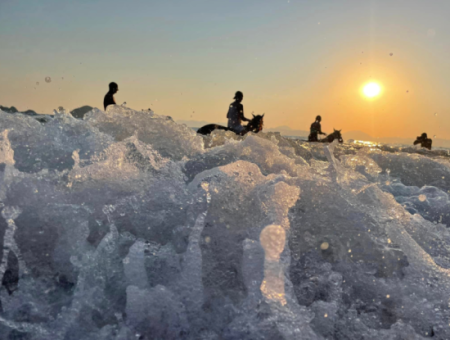 Dörtnala Giden Deniz Atları