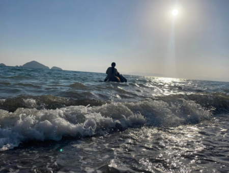 Dörtnala Giden Deniz Atları