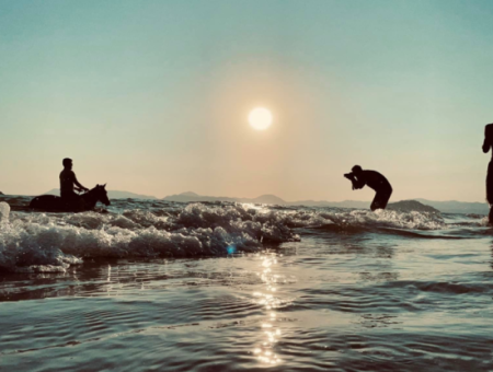 Dörtnala Giden Deniz Atları