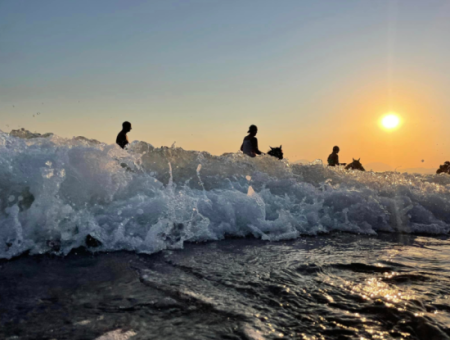 Dörtnala Giden Deniz Atları